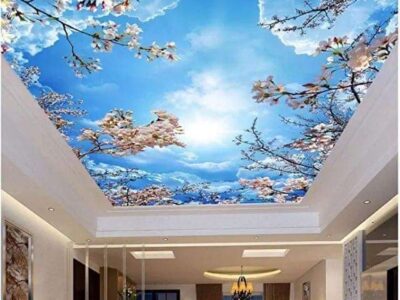 Creative 3D Ceiling Design ideas Call Now. 9782090570