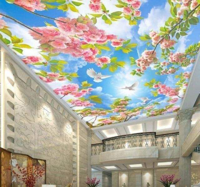 Creative 3D Ceiling Design ideas Call Now. 9782090570