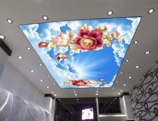 Creative 3D Ceiling Design ideas Call Now. 9782090570