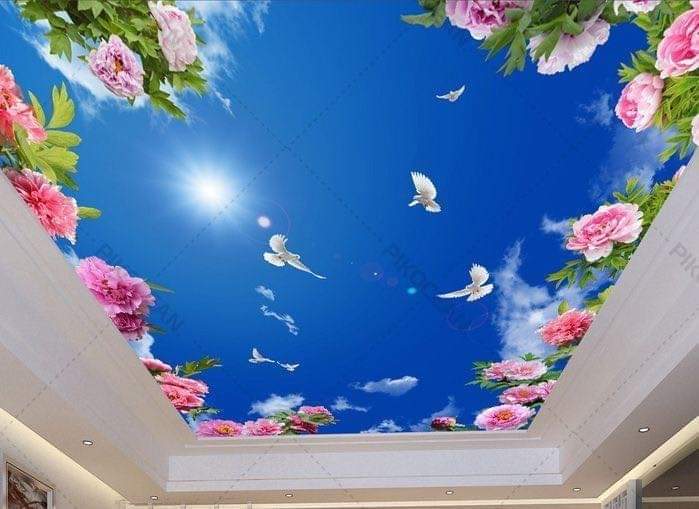 Creative 3D Ceiling Design ideas Call Now. 9782090570